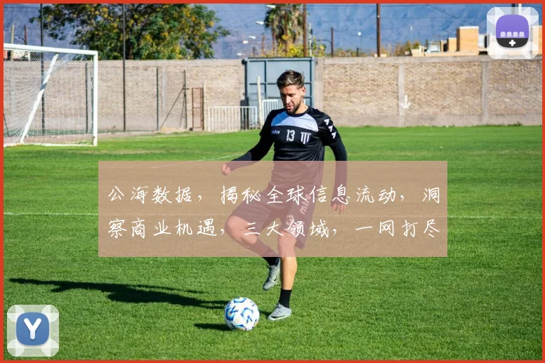 公海数据，揭秘全球信息流动，洞察商业机遇，三大领域，一网打尽，必看