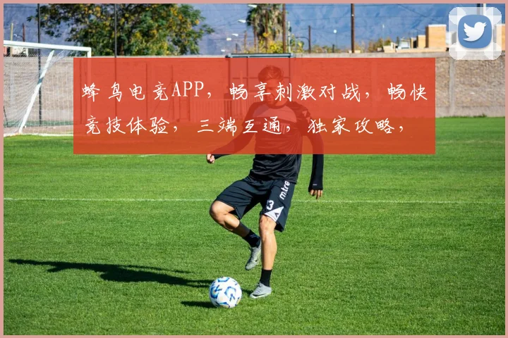 蜂鸟电竞APP，畅享刺激对战，畅快竞技体验，三端互通，独家攻略，等你来战