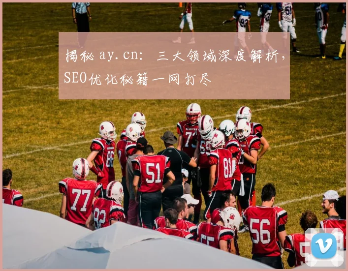揭秘 ay.cn：三大领域深度解析，SEO优化秘籍一网打尽