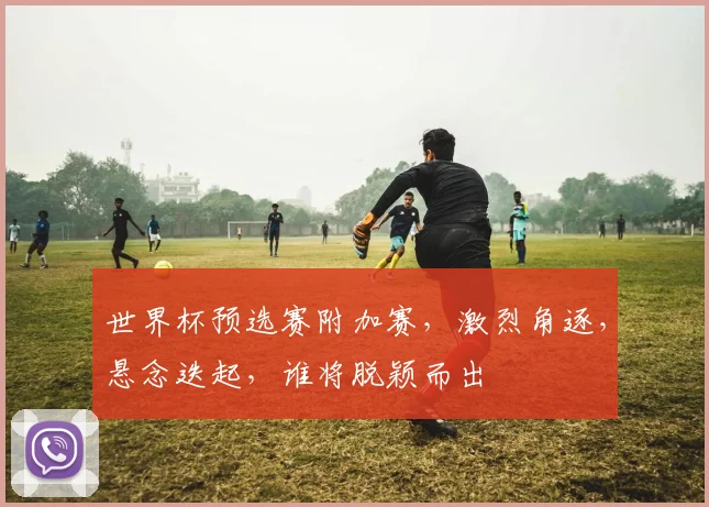 世界杯预选赛附加赛，激烈角逐，悬念迭起，谁将脱颖而出