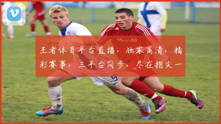 王者体育平台直播，独家高清，精彩赛事，三平台同步，尽在指尖一触